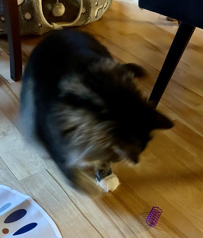 This kitty chews everything and these are fun but sharp on the ends.