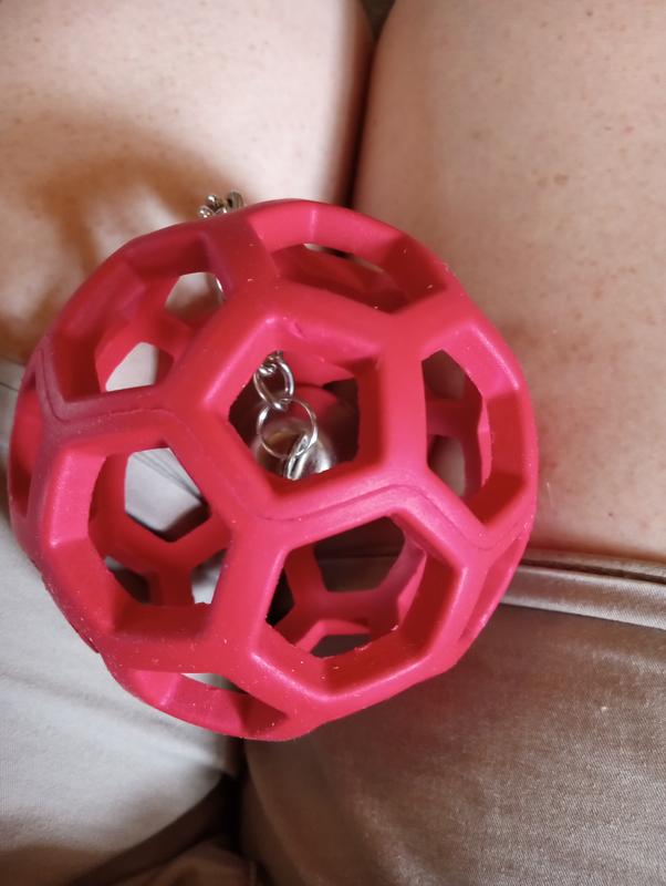 Thunders favorite toy