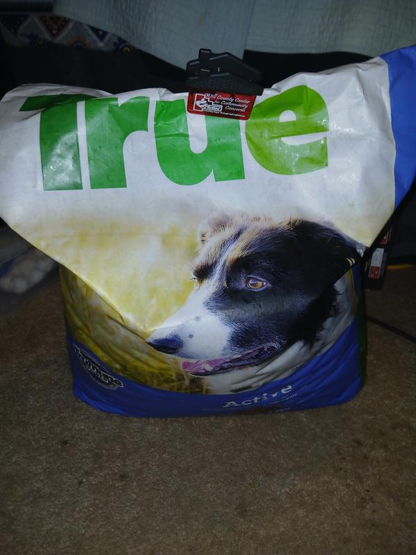 Large heavy duty bag