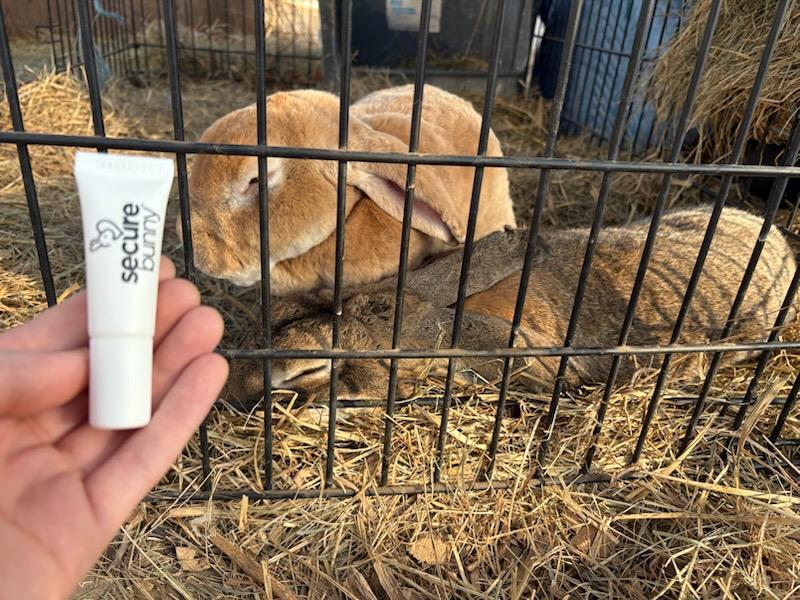These girls are fat and happy - they are only unruly if they hear the grain bag.