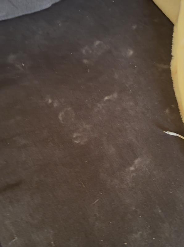 Dusty footprints all over our couch right after switching