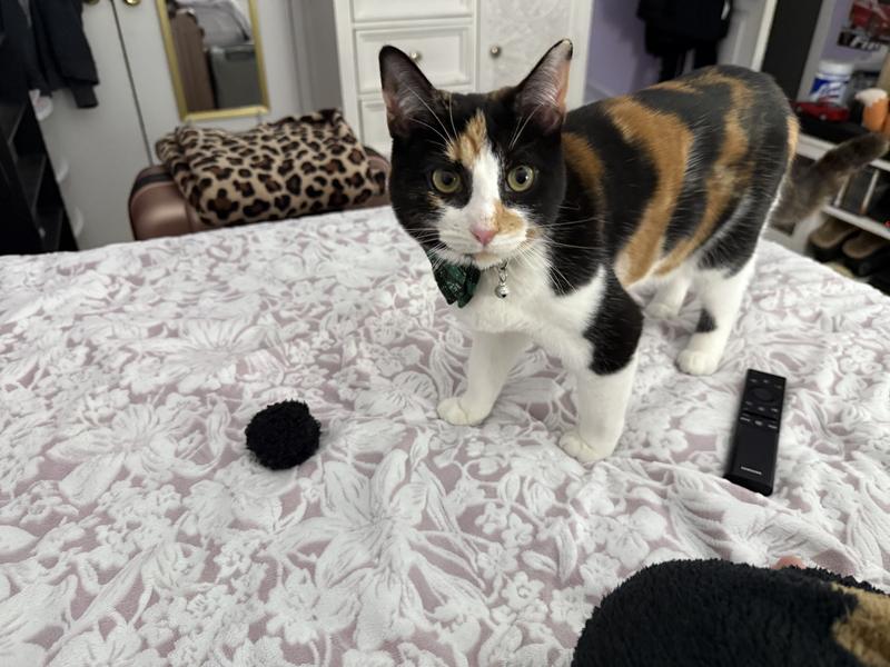 A gift of “coal”