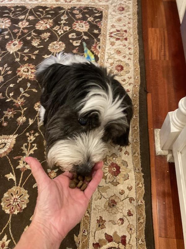 Great Ingredients and LOVED by Bandit, the Terrier