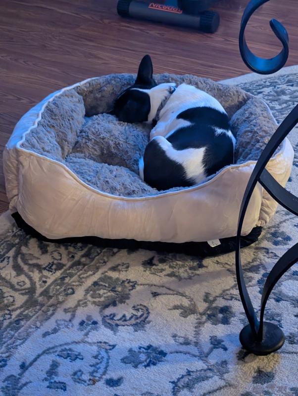 Not moving. Nighty Night!