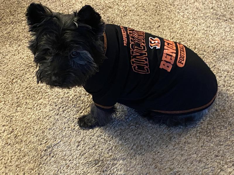 Sorry it's hard to see the fit on a black doggie