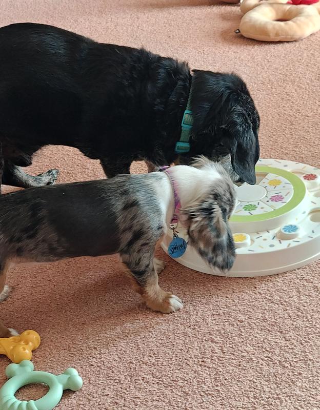 Reggie and Ellie working the puzzle