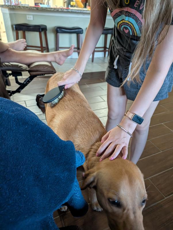 Brush is perfect for labs too.