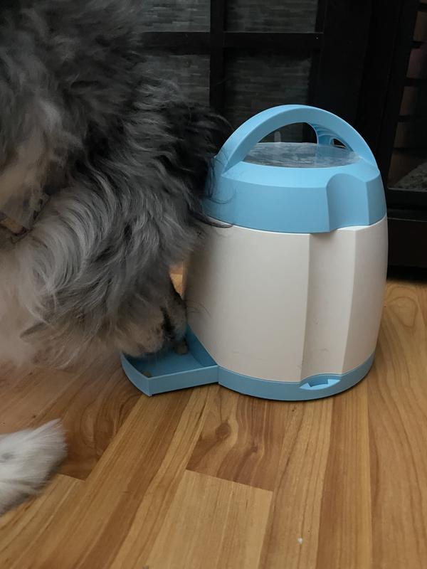 Getting the kibble from the button feeder