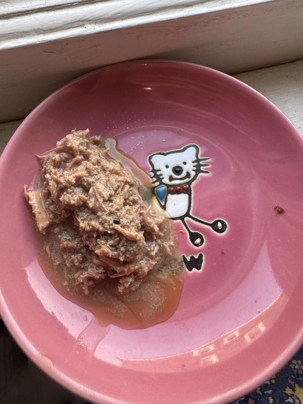 About 1/2 of a can of venison flavored Tiki Cat