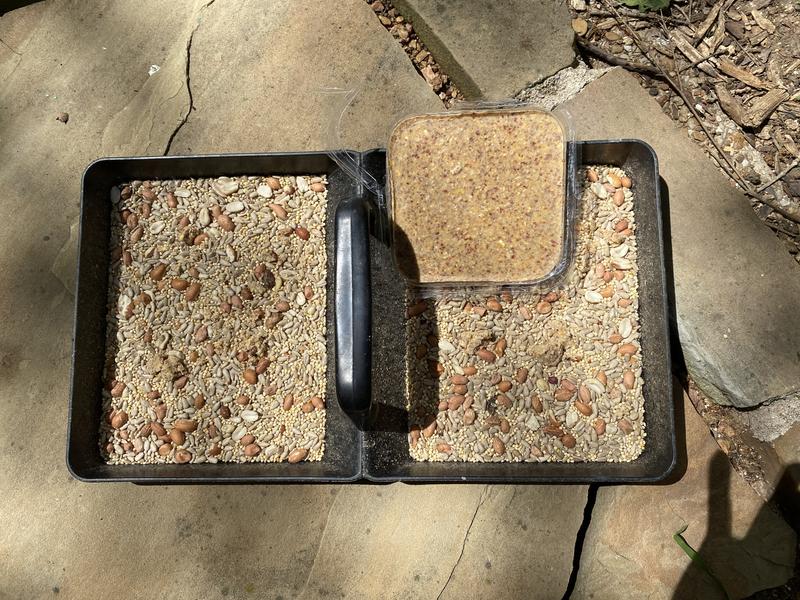 Original block of food