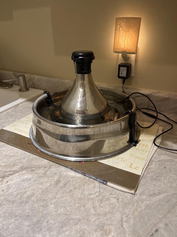 Drinkwell stainless hotsell steel pet fountain