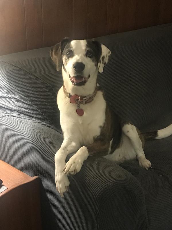 The face she made when I asked if she wanted her snack