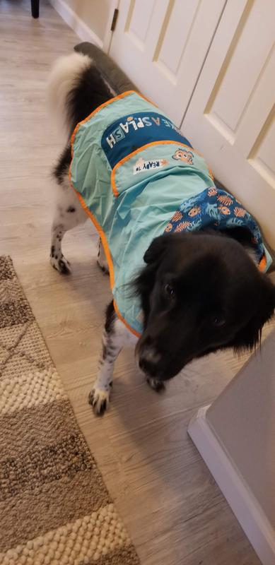 Maya ready to go for her walk in the rain