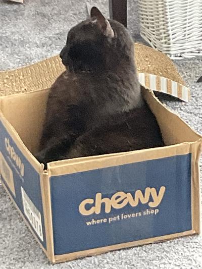 Loves your boxes.