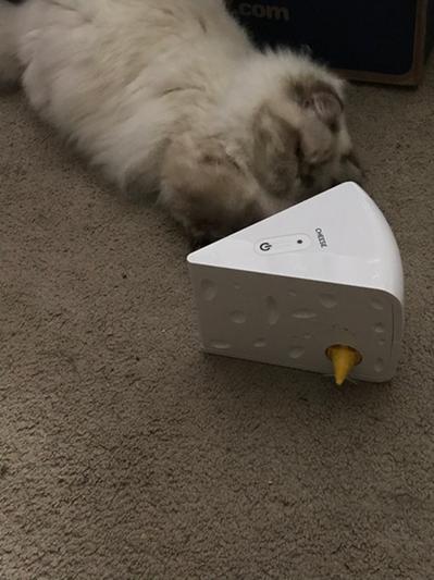 Frolicat best sale cheese toy