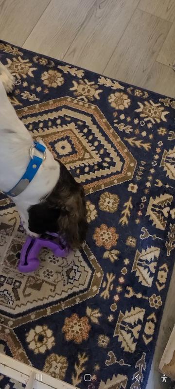 Wonderful to use in enrichment toys like the Kong Wishbone.