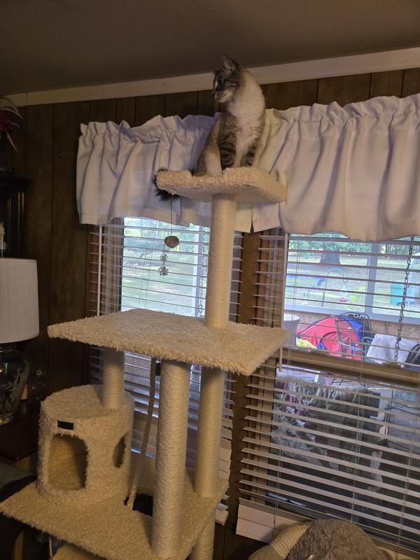 They love this tower !