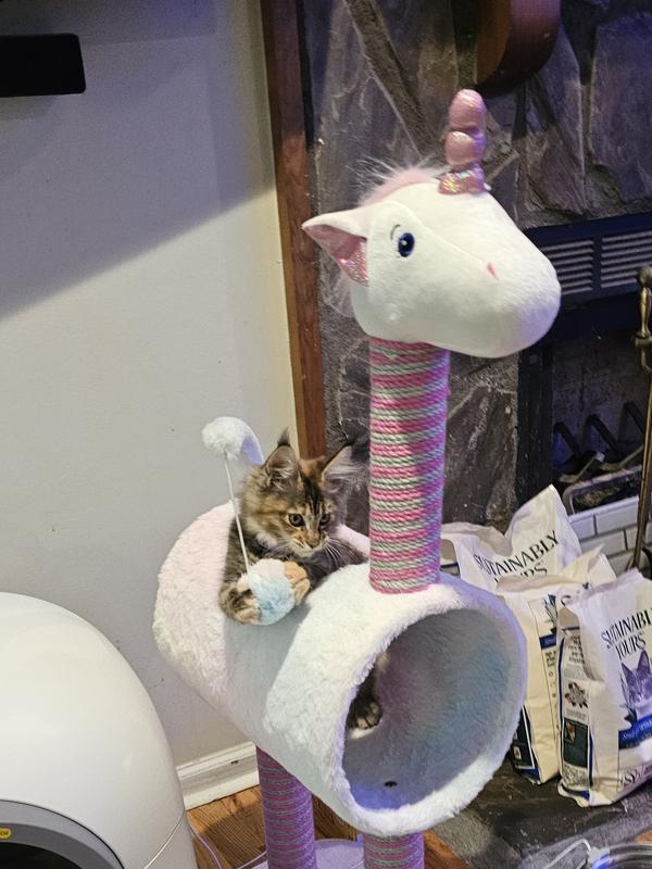 Product Reviews for ZEZE Funfetti Unicorn 41-in Sisal Cat Tree
