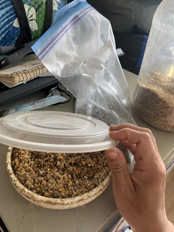 Food that fermented overnight for improved digestion and edibility