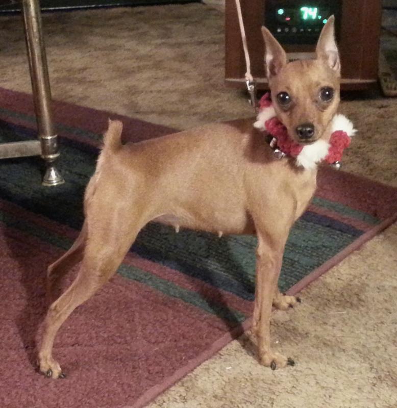 Star (surgery patient) is 11&1/2 -taken in younger years