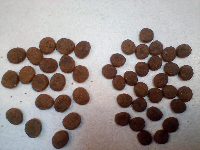 Kibble on left is larger/paler color.
