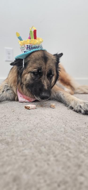 Happy Birthday to me!