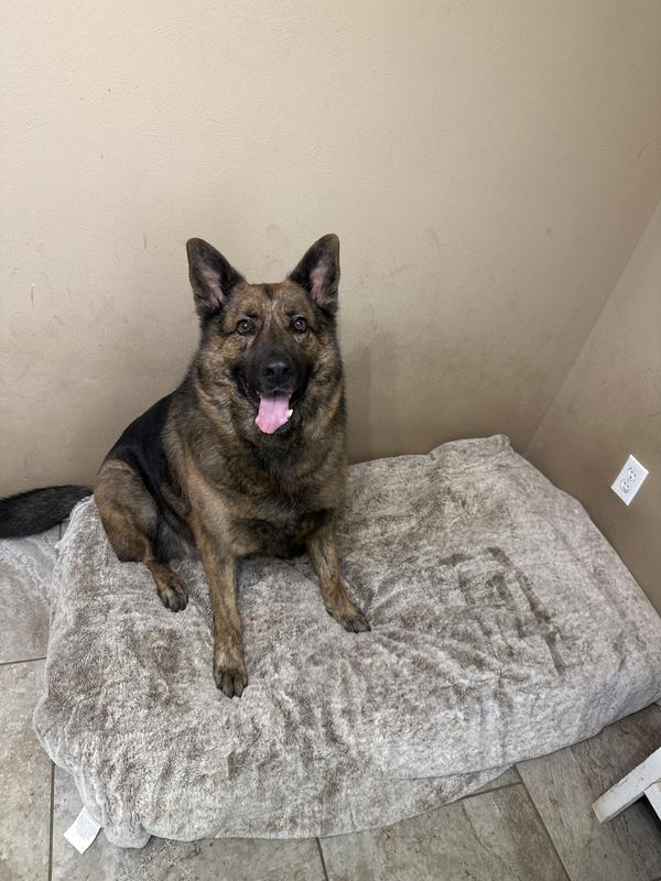 He’s a happy boy! 😍