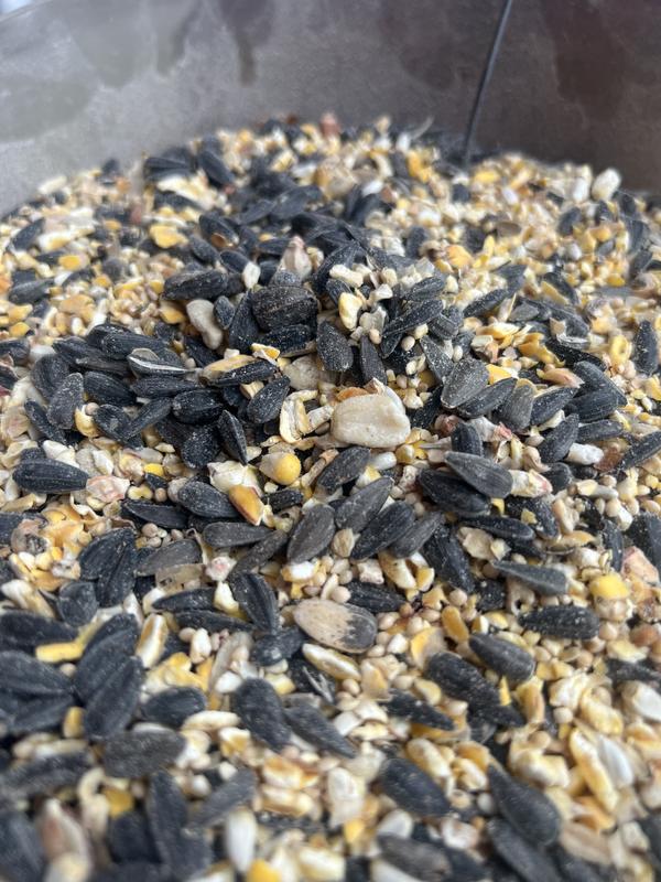 Close up of the bird seed mix