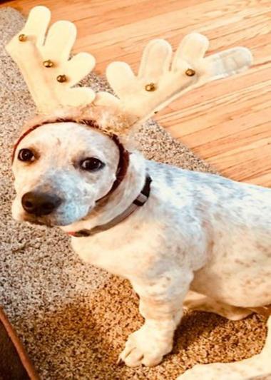 Bah-Humbug! I want what she's having.  Love, Lucy