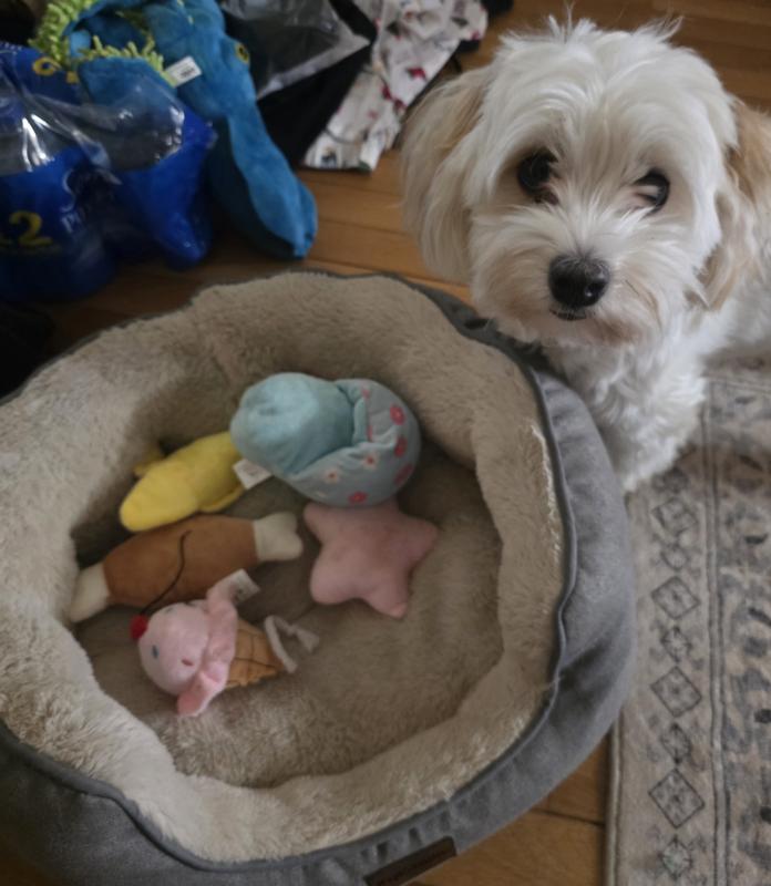 Just a few of the toys included