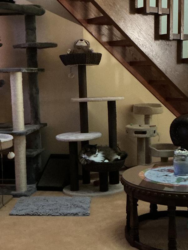 Not the best for the price