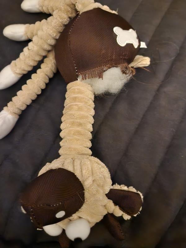 Stuffing shoved back in