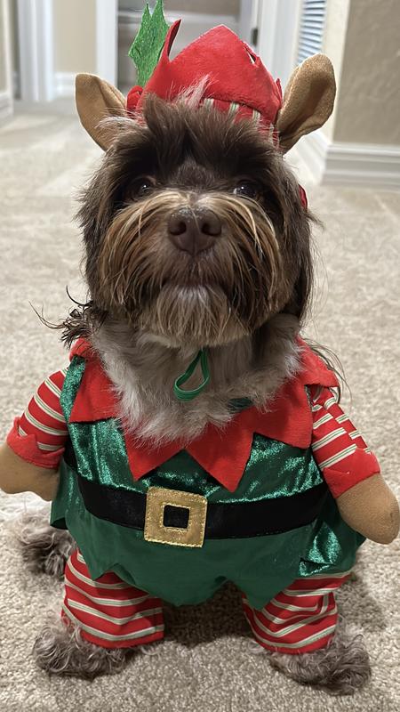 Walking elf shop dog costume