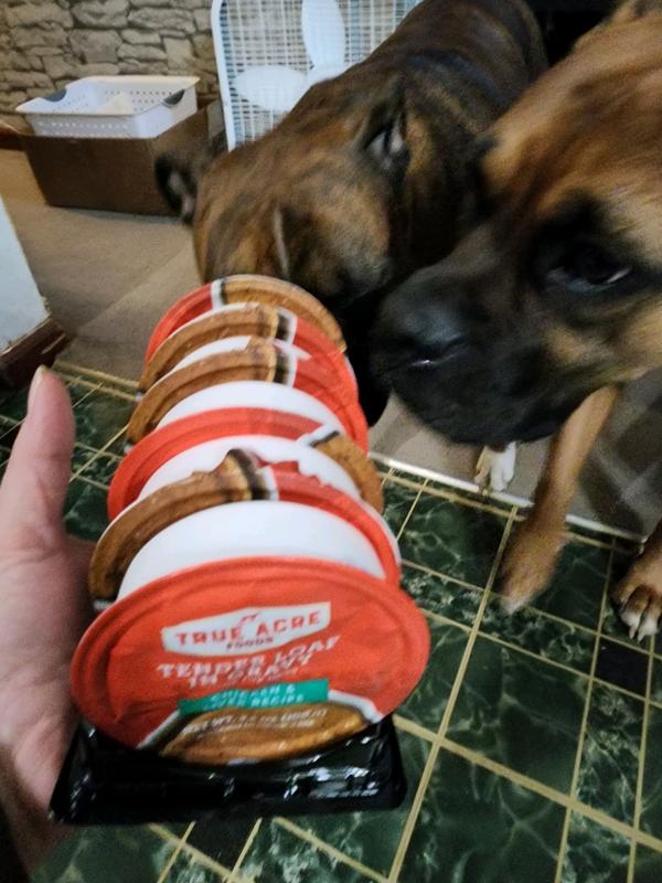 Doggie dinner time