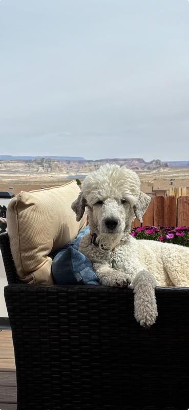 Frisco relaxing on his outside deck with beautiful views of Lake Powell.