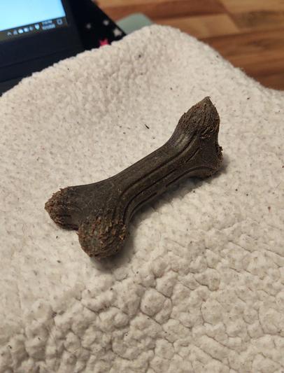 After 2 months of daily chewing