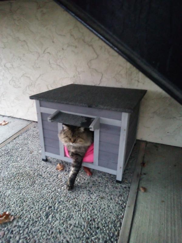 My BEAN'S a Happy Camper