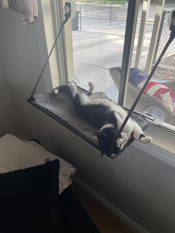 K&H PET PRODUCTS EZ Mount Cat Window Perch, Gray