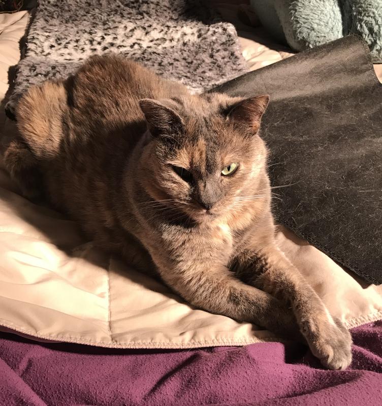 Satisfied customer Sara