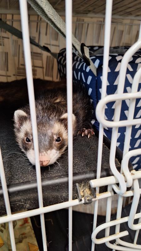 The perfect place to curl up for a nap!