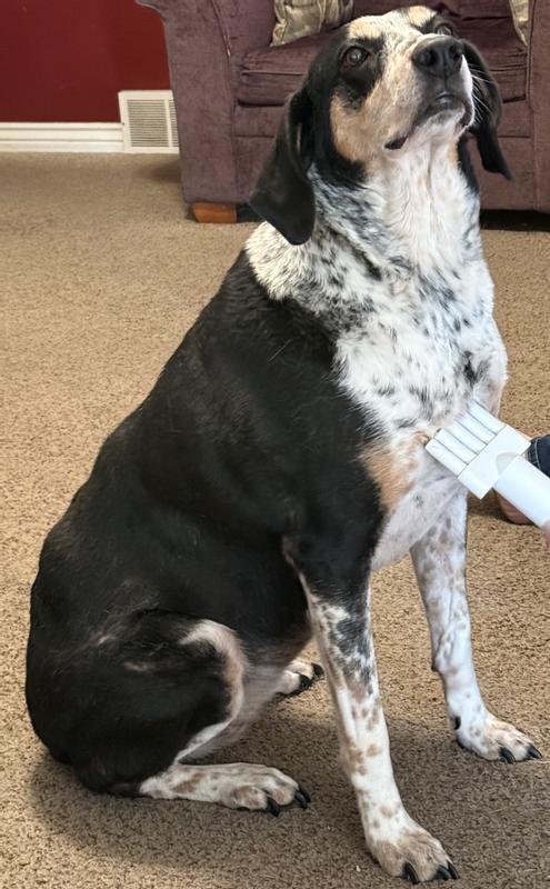 She seemed to like it!