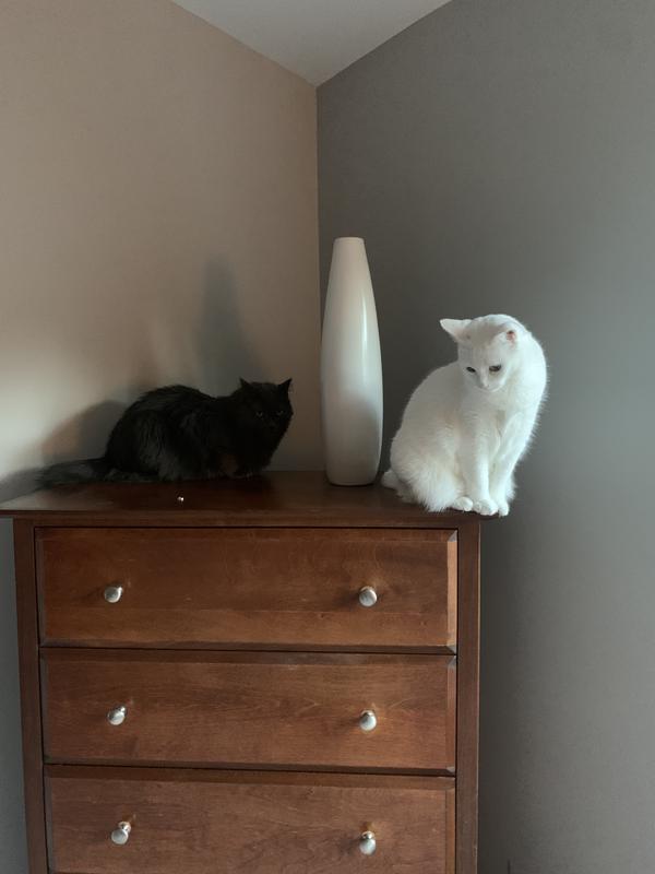 Nolan left, Noelle right