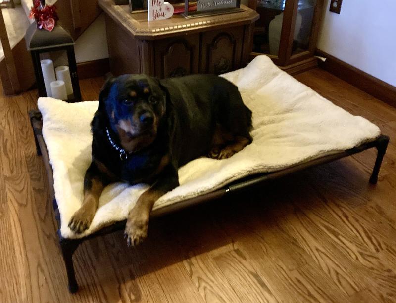 K&H PET PRODUCTS Original Cot Pad for Elevated Dog Bed, Medium