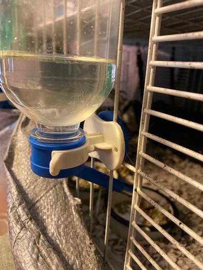 Picture of water bottle and side connection to cage