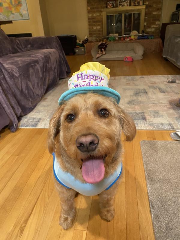 Jasmine on her 3rd birthday