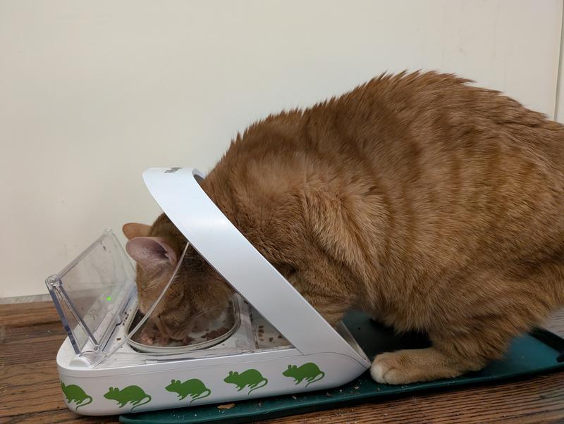 Hunched into position so that his shoulders are close enough to make it open