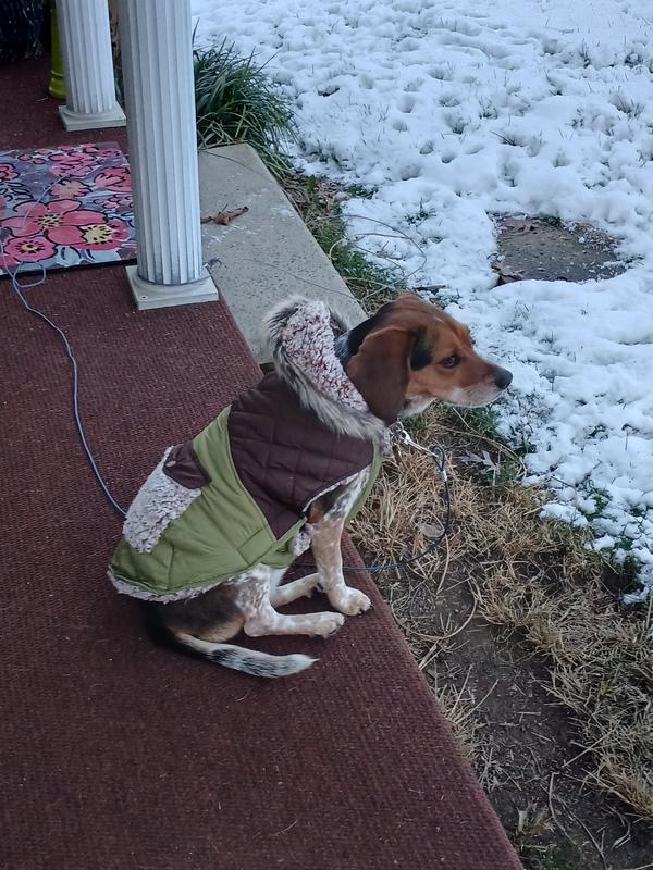 It's so soft and warm..