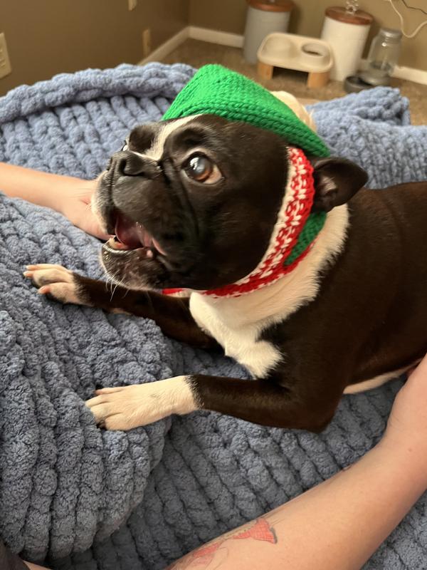 Ears are too short for the design, but soooo cute!