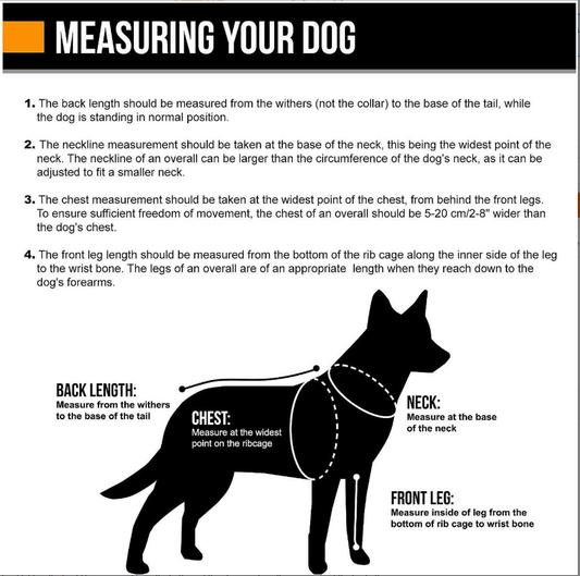 Measuring Your Dog