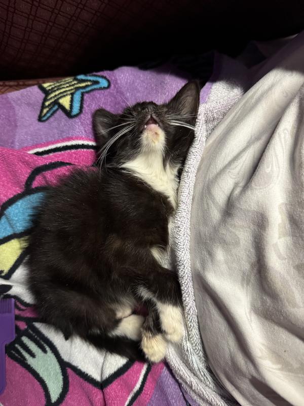 Finally fat & happy!